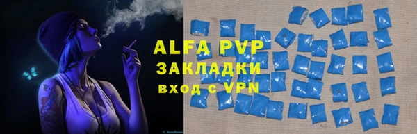 прущие грибы Туринск