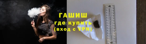 прущие грибы Туринск