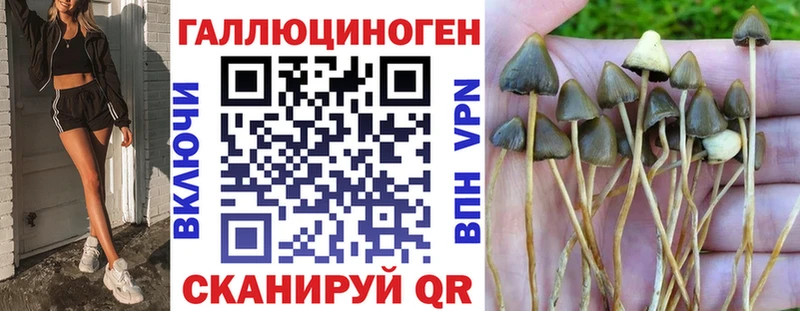 Галлюциногенные грибы ЛСД  Городище 